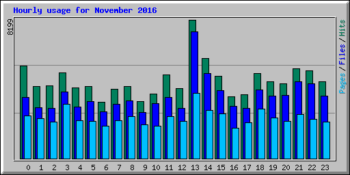 Hourly usage for November 2016