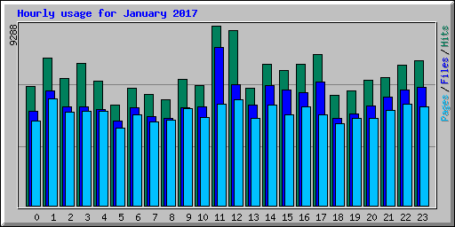 Hourly usage for January 2017